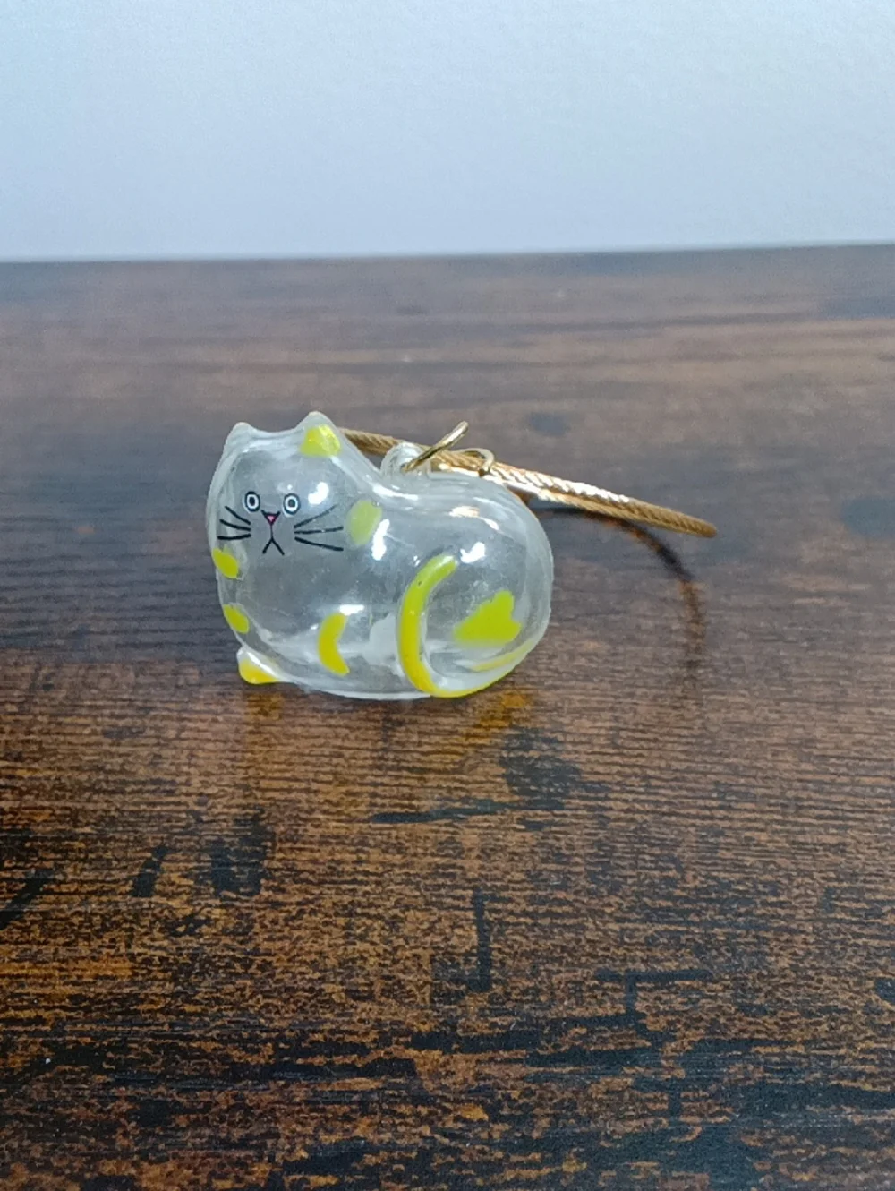 Pet Fur Memorial Transparent 😺 Cat Hair Capsule Keychain